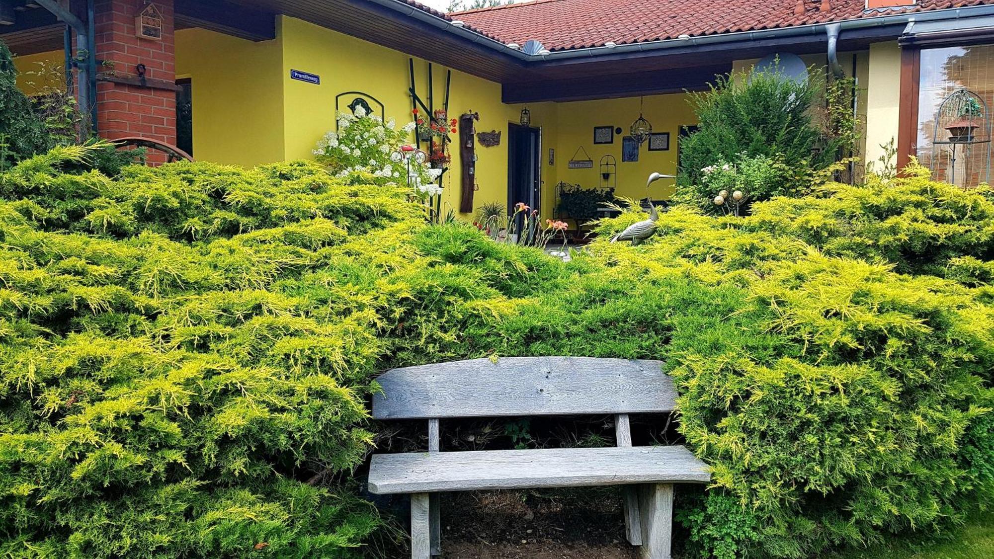Ferienwohnung Guenther , 3 - Sterne ヴァーレン エクステリア 写真